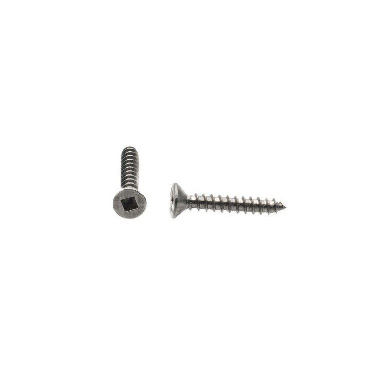 Robertson head on sale wood screws