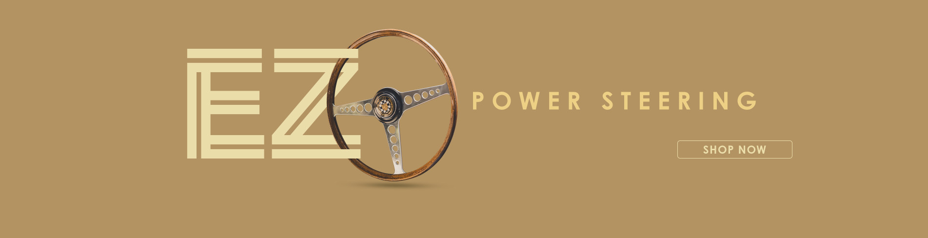 EZ Power Steering